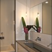 Asn Inc